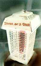 soad.jpg (5030 bytes)