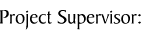 Project Supervisor: